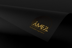 Customizable Foil Logo Mockup by Anthony Boyd Graphics